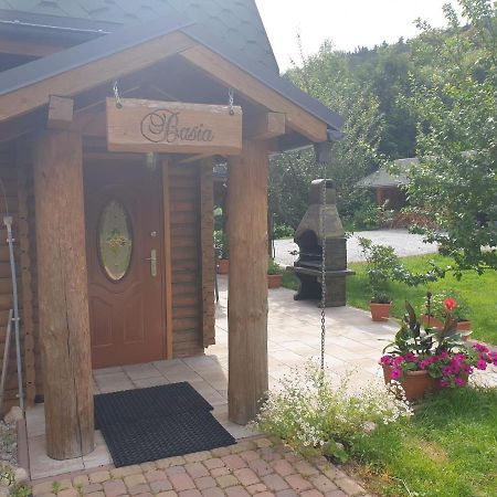 Jelenia Góra Sobieszów APARTAMENT BASIA Zielone Wzgórze -Willa Tosia Zewnętrze zdjęcie